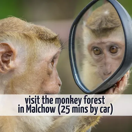 Gruppenhaus Wiesengefluester - Familienfreundlich, Strandnah Und Mit Garten Hébergement de vacances Röbel