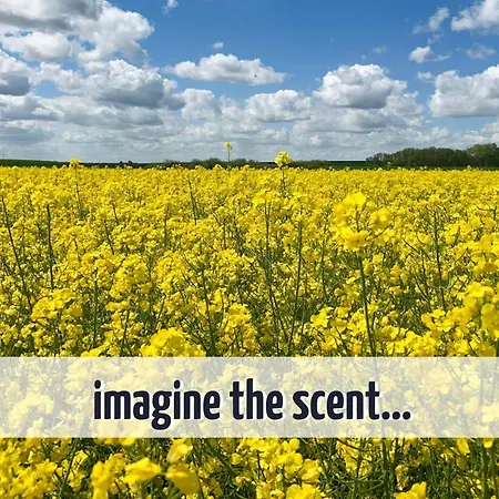 Gruppenhaus Wiesengefluester - Familienfreundlich, Strandnah Und Mit Garten Robel
