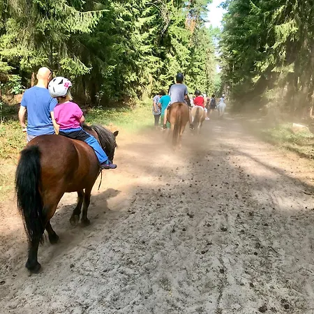 Gruppenhaus Wiesengefluester - Familienfreundlich, Strandnah Und Mit Garten * Röbel