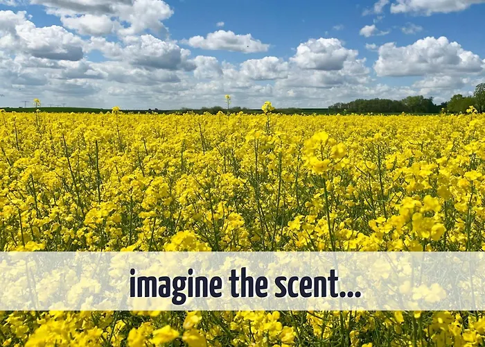 Gruppenhaus Wiesengefluester - Familienfreundlich, Strandnah Und Mit Garten Robel